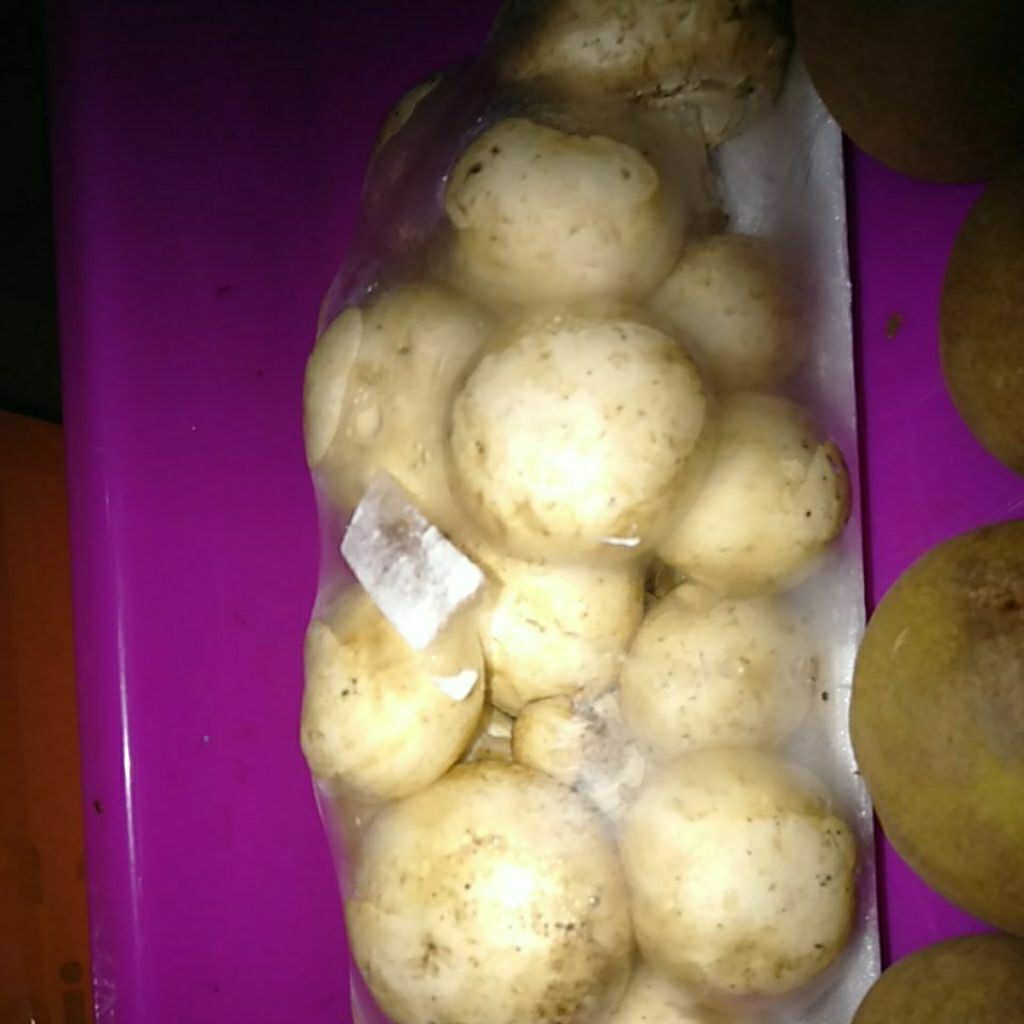 Jamur Campignon Kancing segar