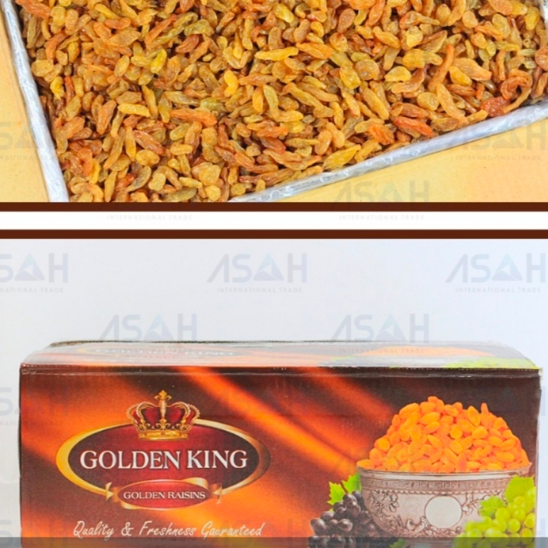 Kismis Golden raisins anggur kering Golden king 10kg