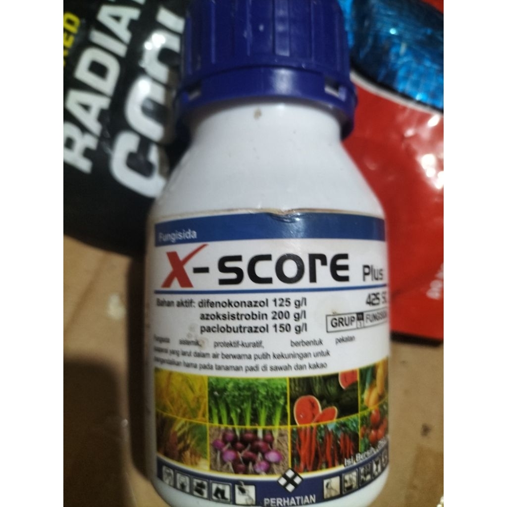 X-SCORE PLUS 425SC