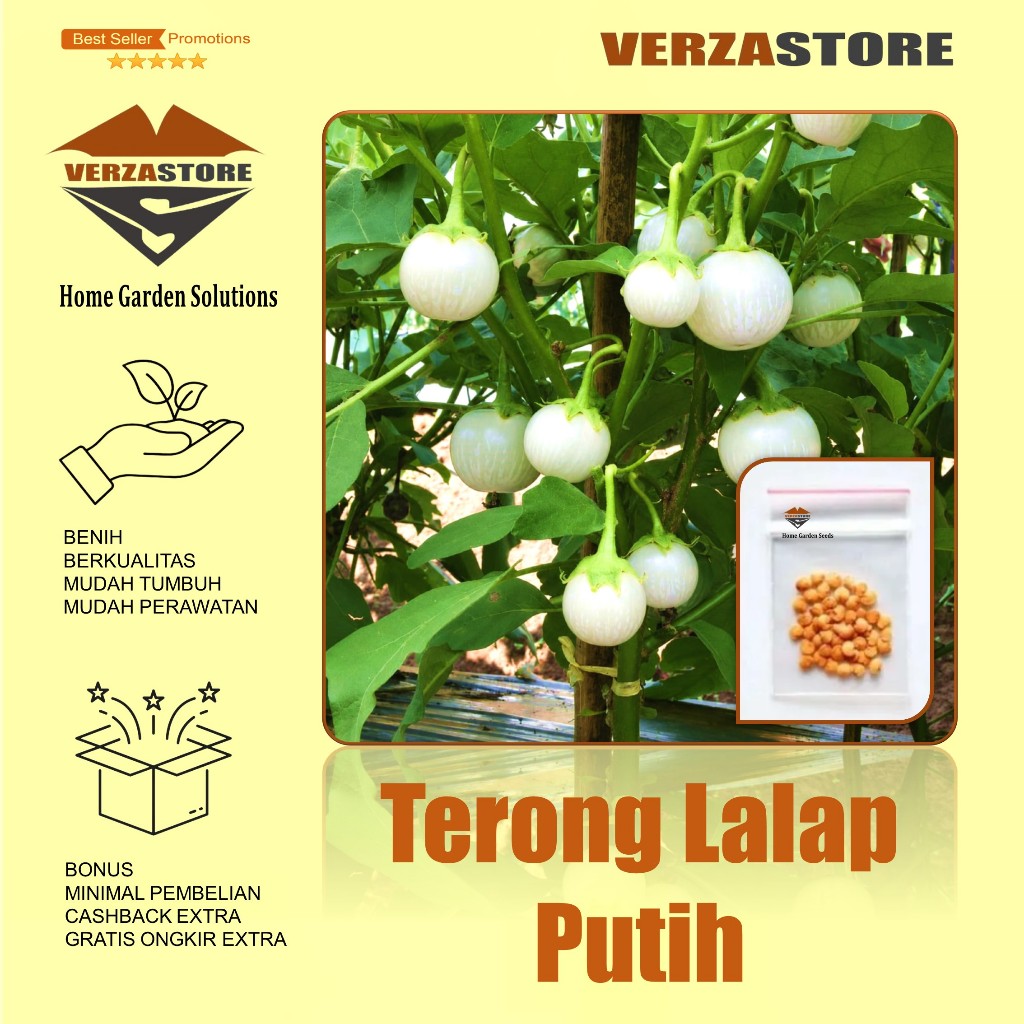25 Biji - Benih Terong Putih Lalap