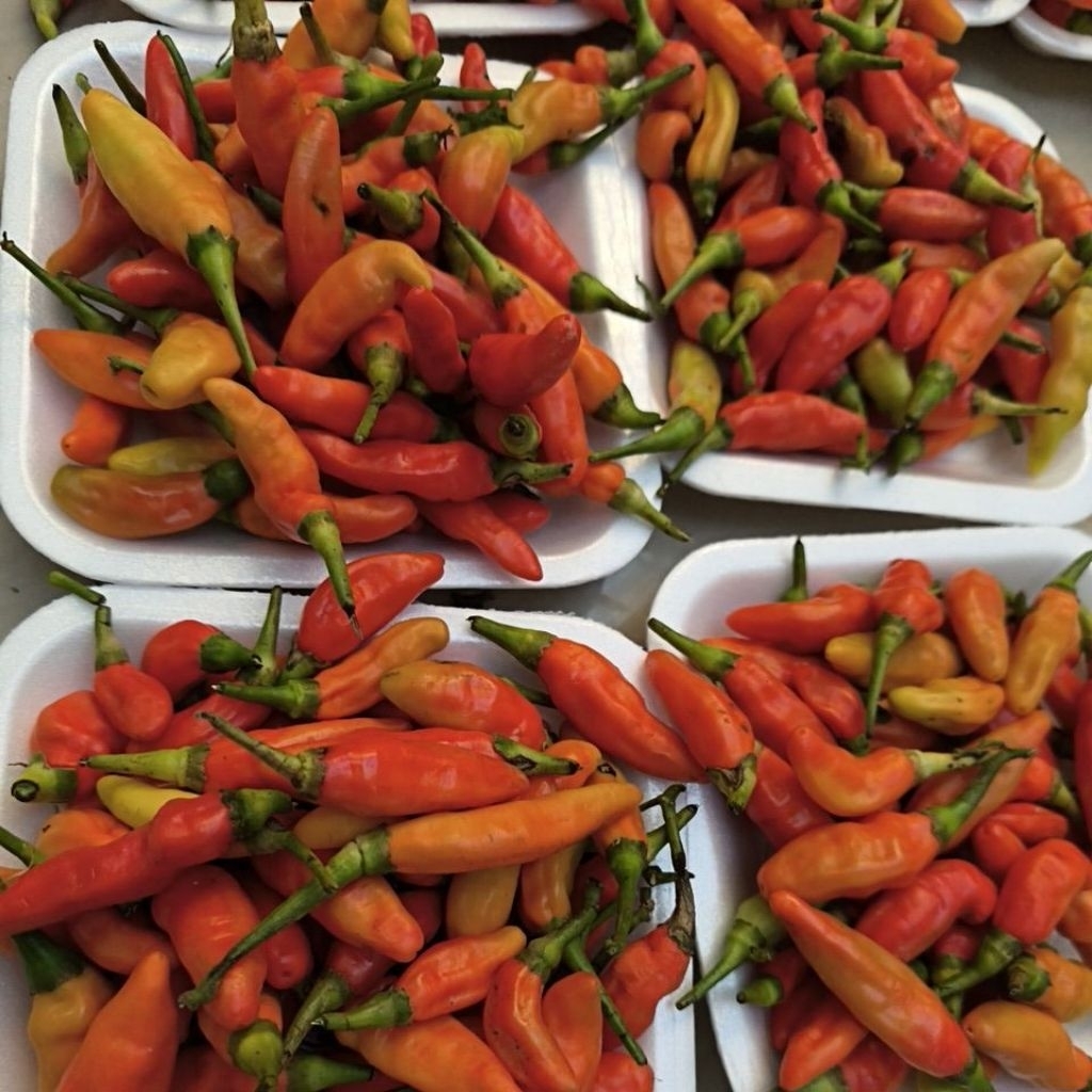 Cabe Tiung Per Pack