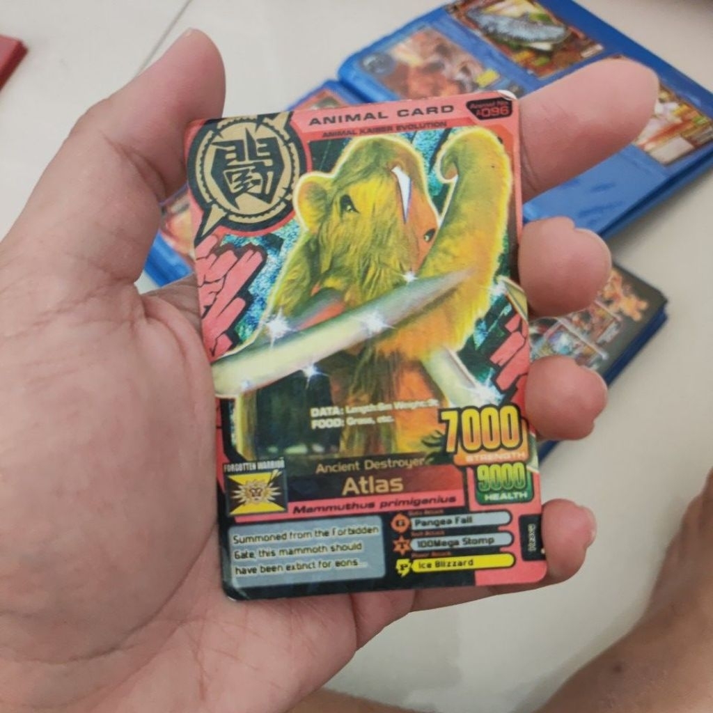 animal kaiser atlas