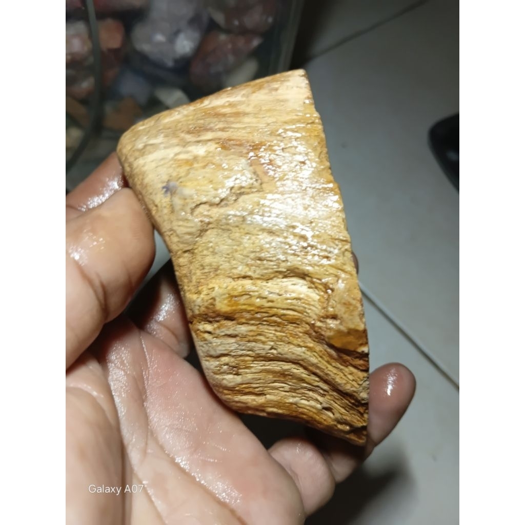 BATU FOSIL GALIH ASEM
