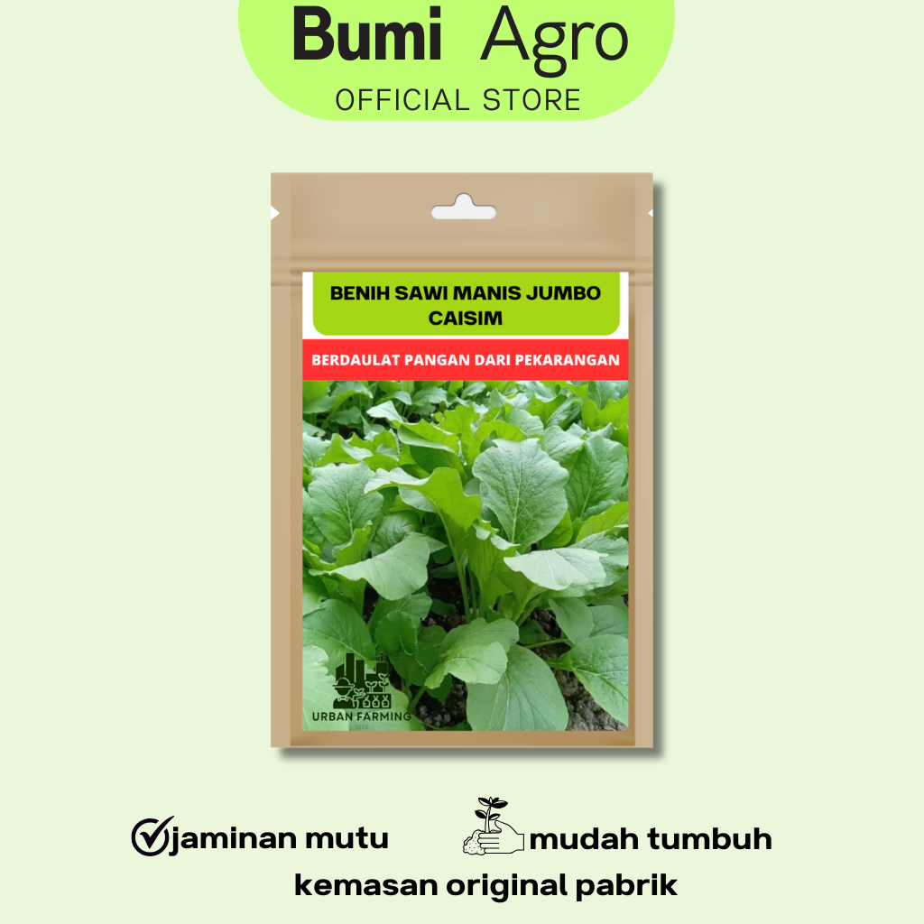 Benih Caisim 100 gr Sawi Manis Jumbo Urban Farming Unggul Lebat Panen Melimpah