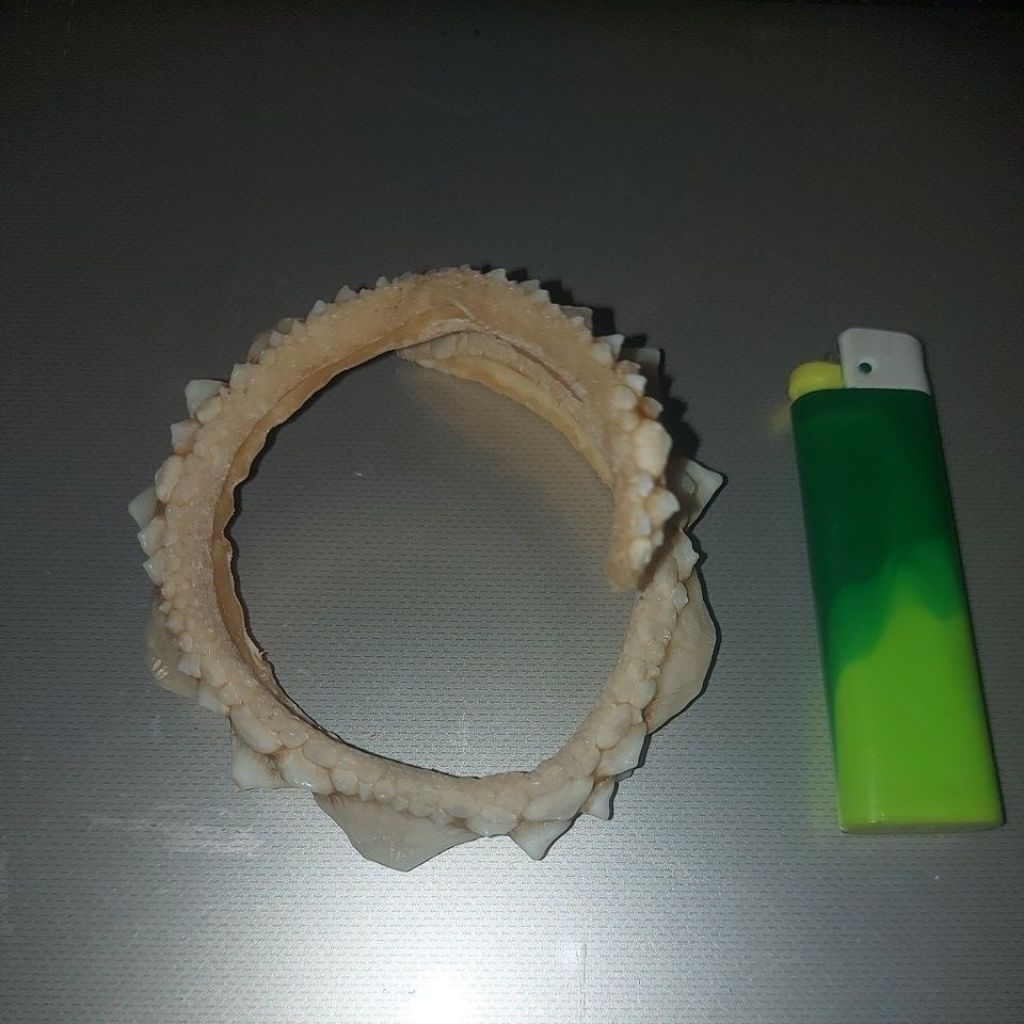 gelang mustika ikan pari