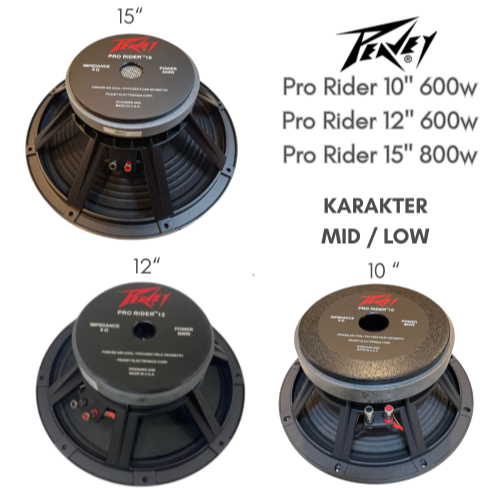 SPEAKER PRO RIDER 10 INC 600WATT 12 INC 600WATT 15INCH 800 WATT