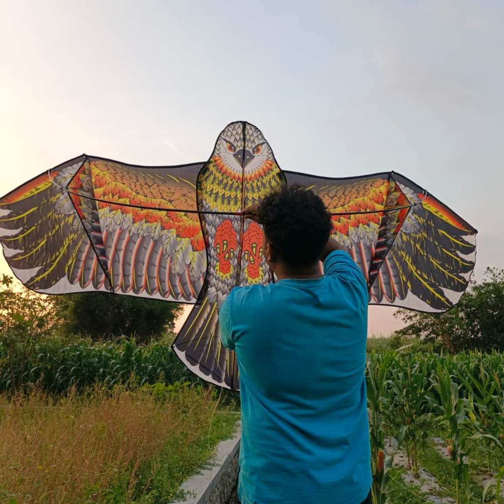 Promo Layangan elang super jumbo 3 meter bahan parasut bisa di lipat layang-layang