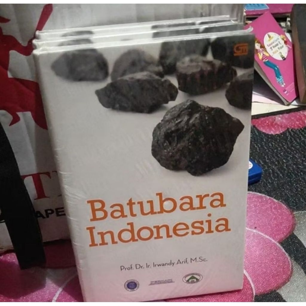 buku BARTUBARA INDONESIA - Irwandy Arif