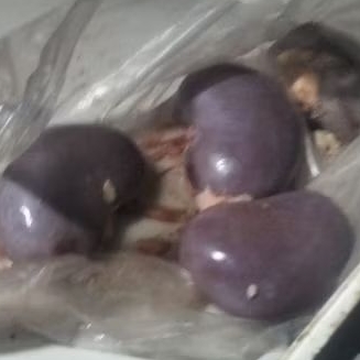 ginjal kambing 420gr