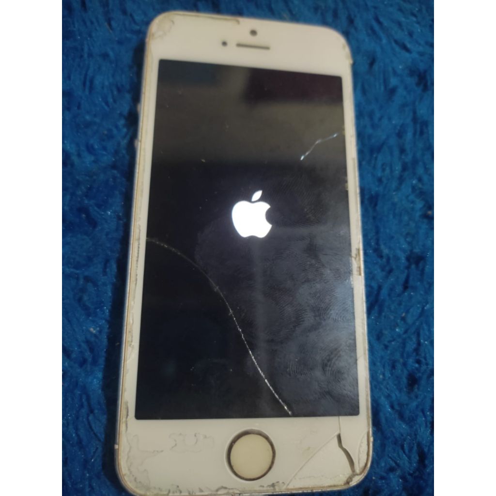 iphone 5 mesin nyala logo saja