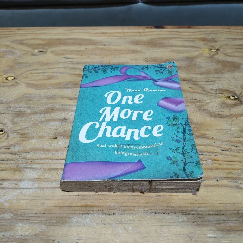 Novel One More Chance