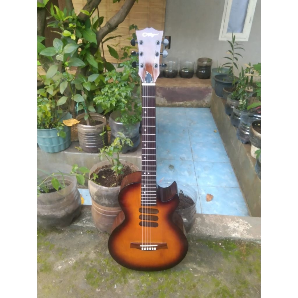 Gitar Akustik Allegro GS Original