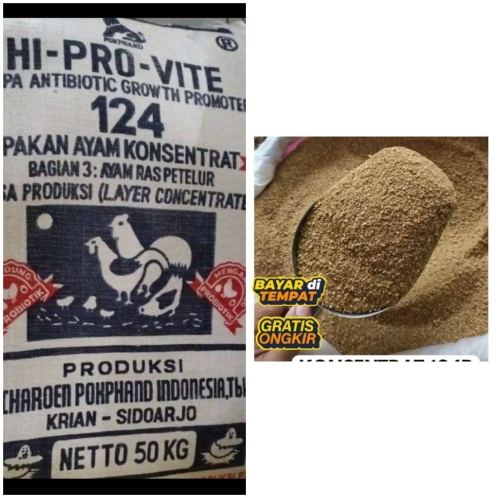 KONSENTRAT LAYER AYAM PETELUR 124 PAKAN KONSENTRAT AYAM UNGGAS