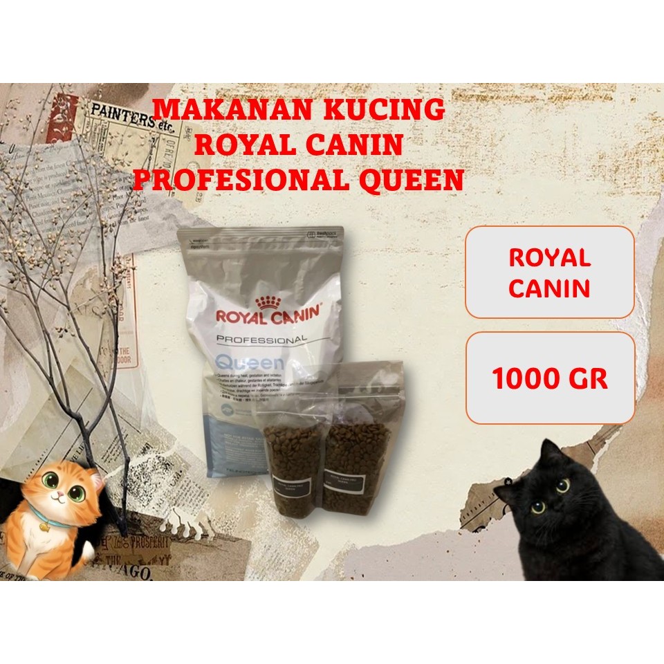 MAKANAN KUCING ( ROYAL CANIN ) ( Royal Canin Kemasan 1kg )