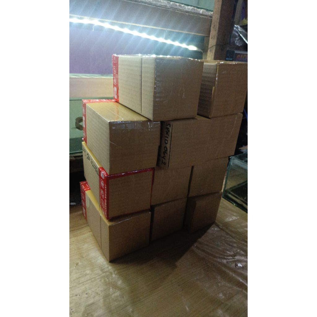KARDUS PACKING CHANNA MARU YS 15-16CM