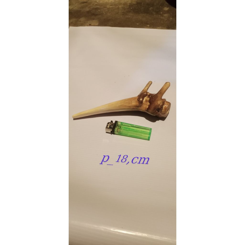 pipa once tlogosari jumbo