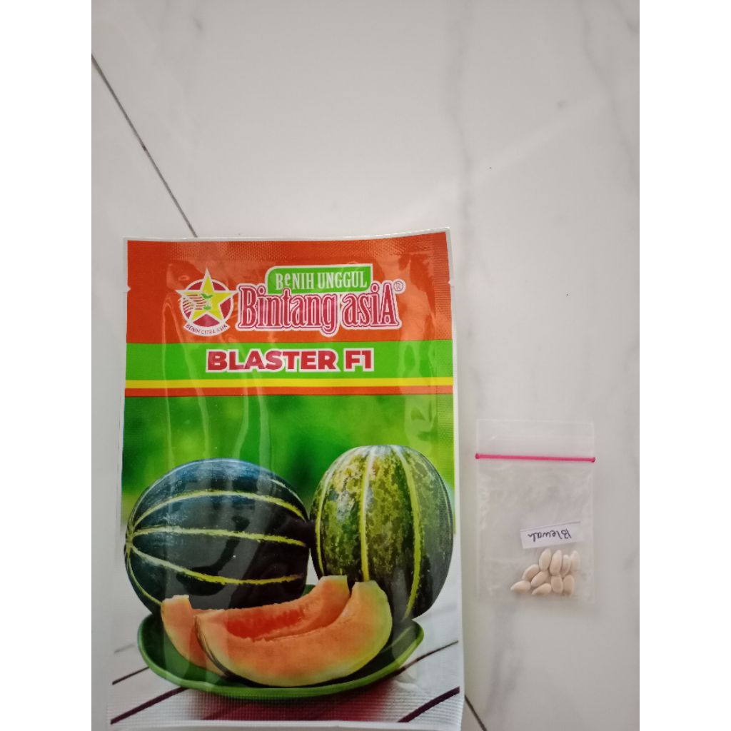 benih blewah BLASTER ECER