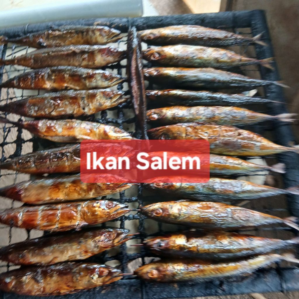 Ikan asap SALEM  3 ekor
