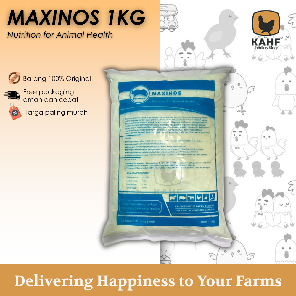 MAXINOS SUSU TERNAK KEMASAN 1 KG SUSU PENGGANTI SUSU INDUK [KAHF PS]