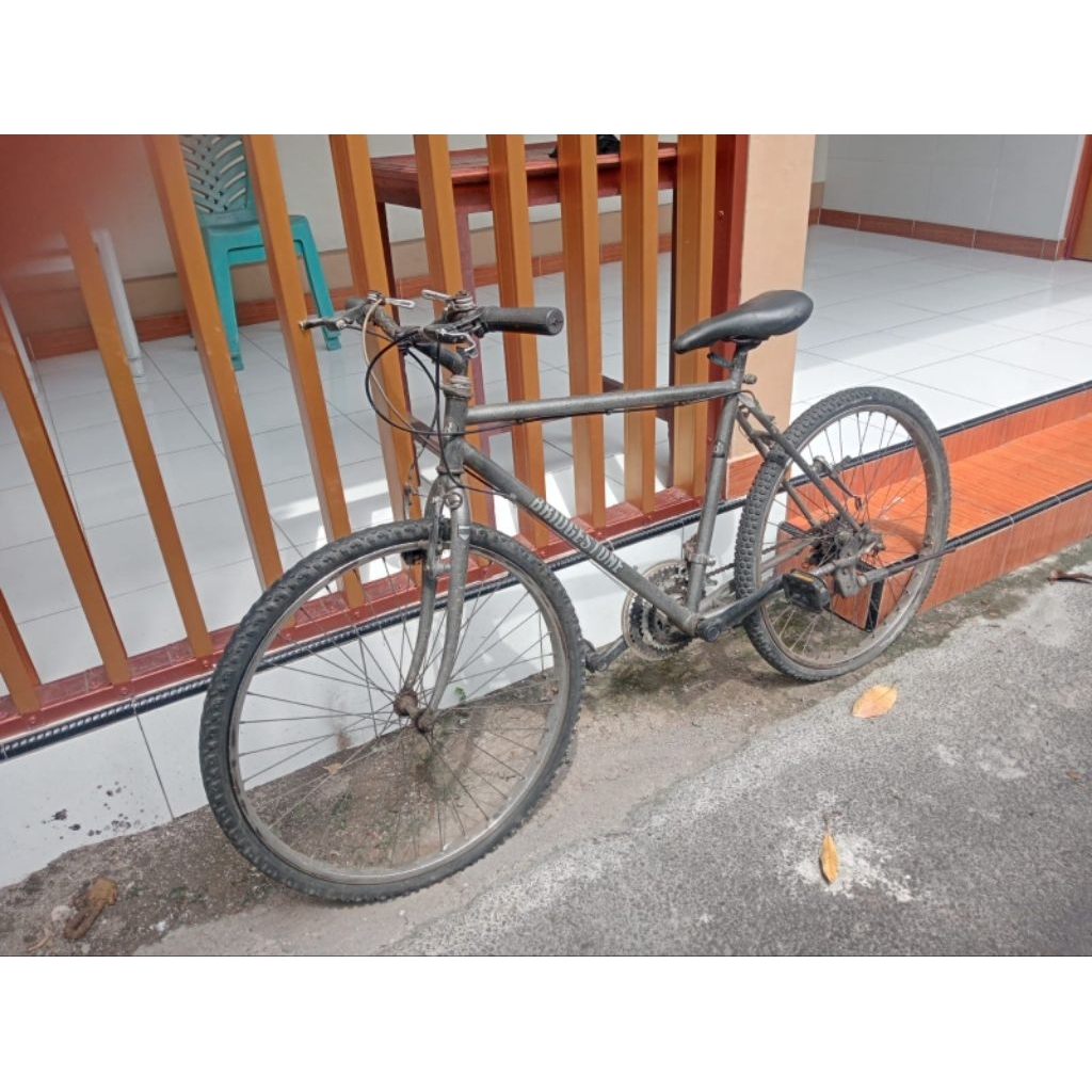 frame fork aja bajul decal bridgeston