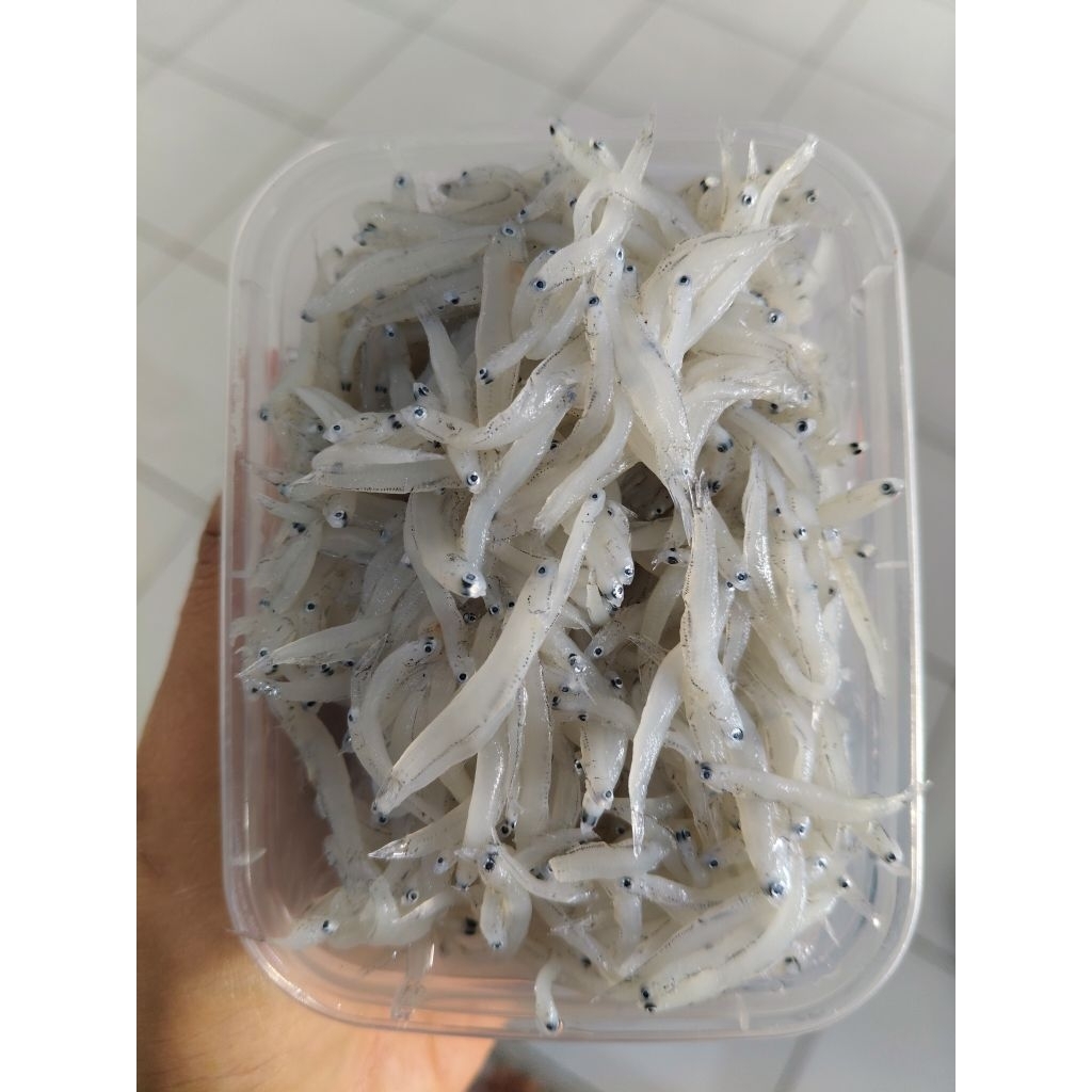 TERI NASI BASAH FROZEN FRESH
