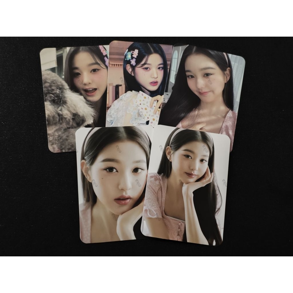 D'ICON DICON IZ*ONE IZONE WONYOUNG PC PHOTOCARD POODLE GUGUK