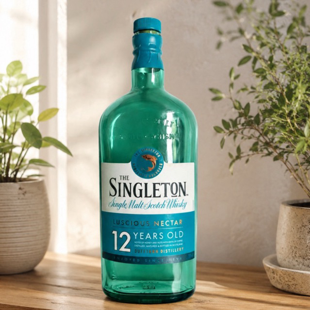 botol bekas untuk pajangan unik singleton/dekorasi/properti No box
