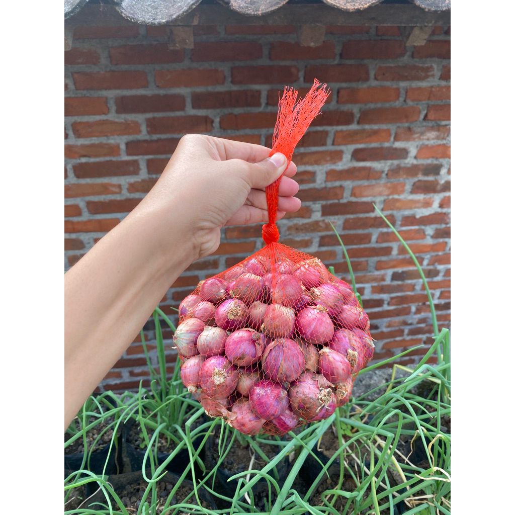 Bawang Merah lokal Temanggung  super 1kg