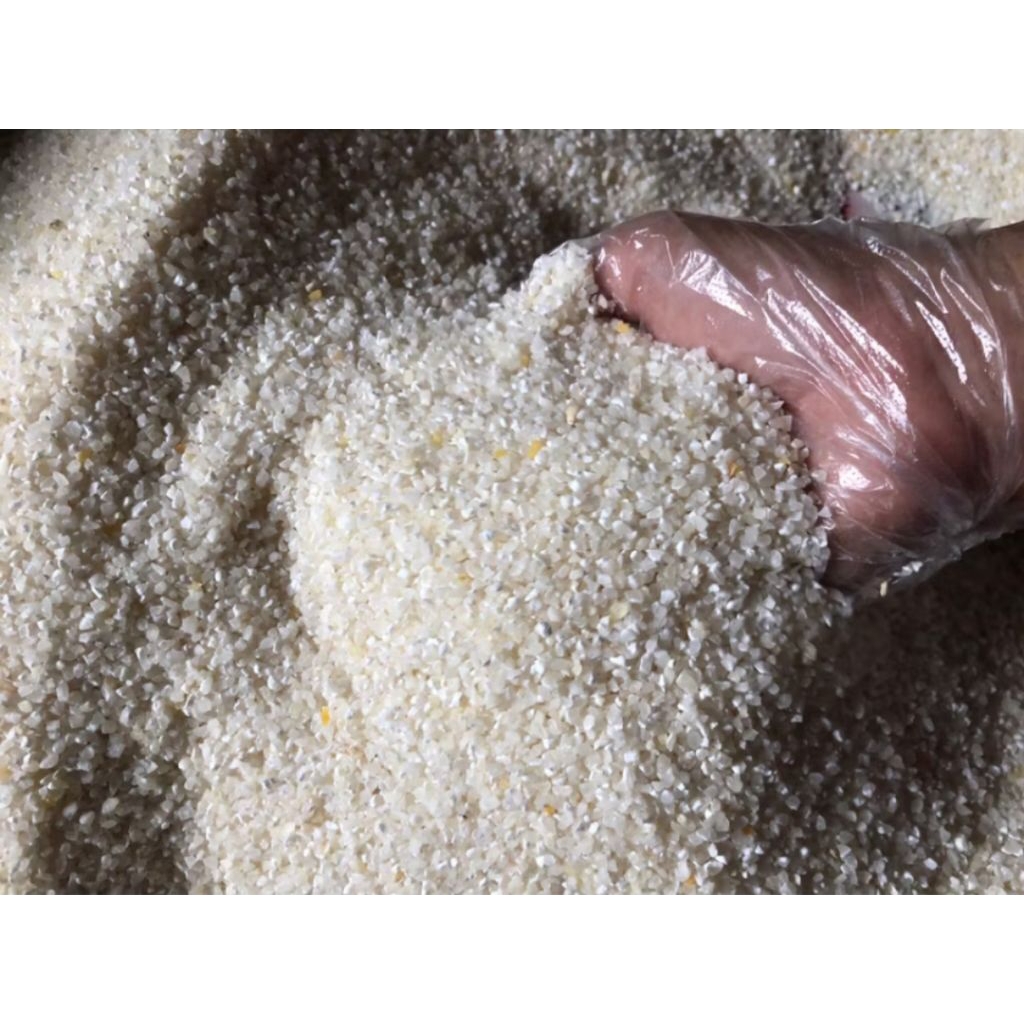 Beras Jagung Putih Nasi Jagung Putih Sego Jagung