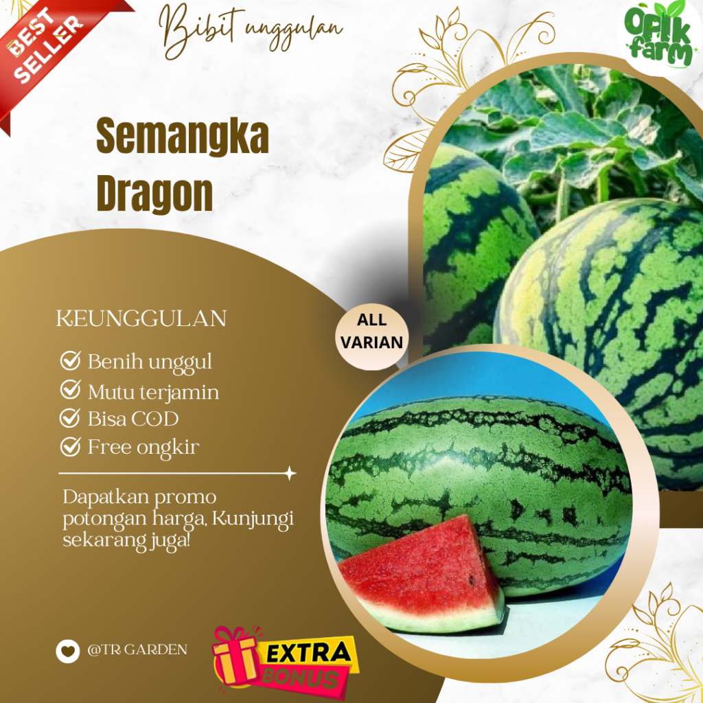 (10 biji) Bibit Benih Semangka Dragon Unggul (Extra Bonus)