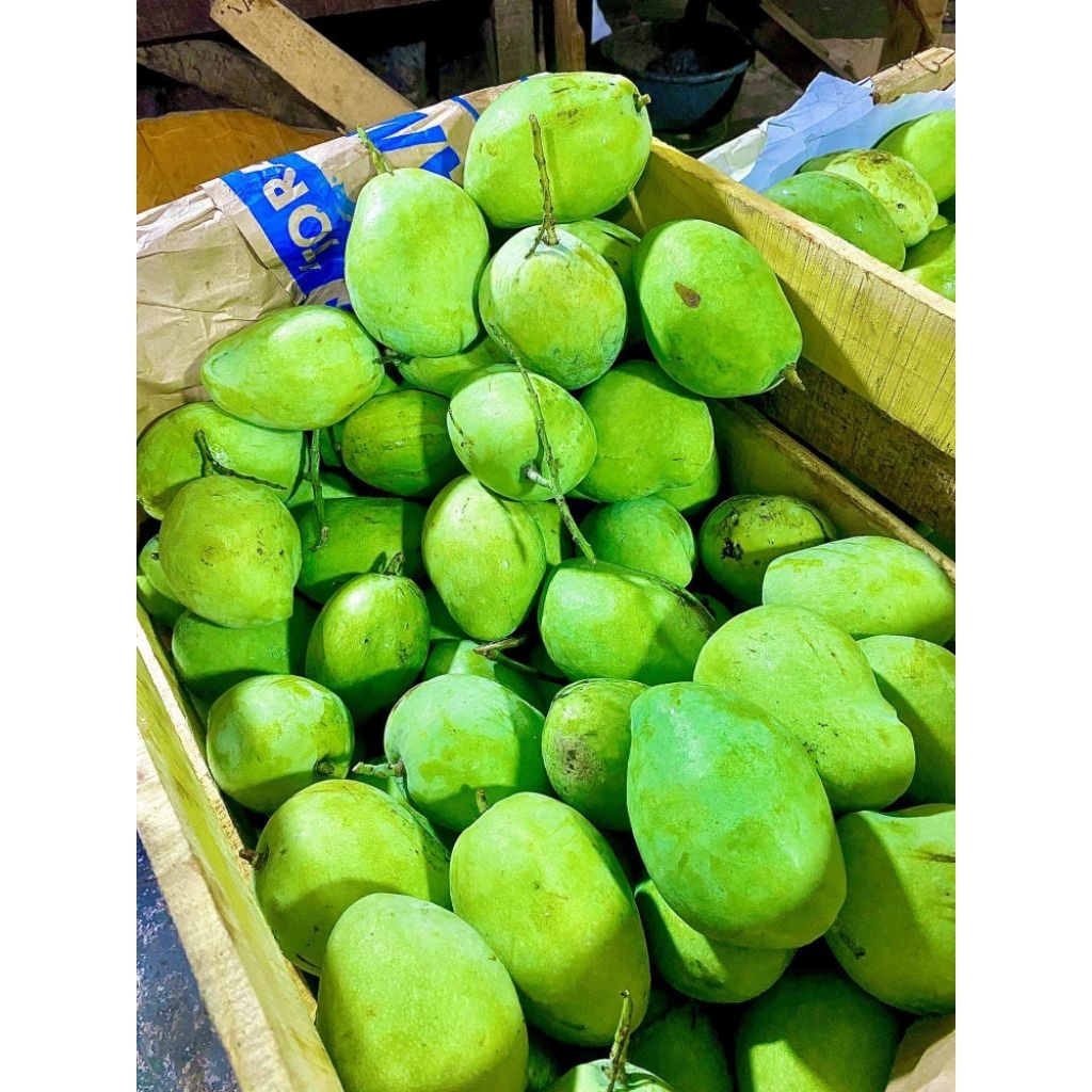 mangga gadung