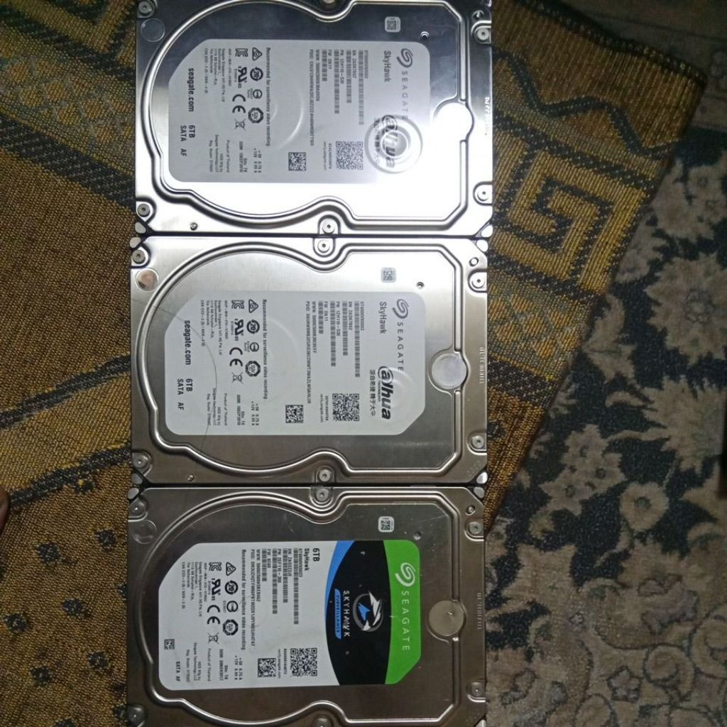 harddisk Seagate skyhawk 6tb bekas original part