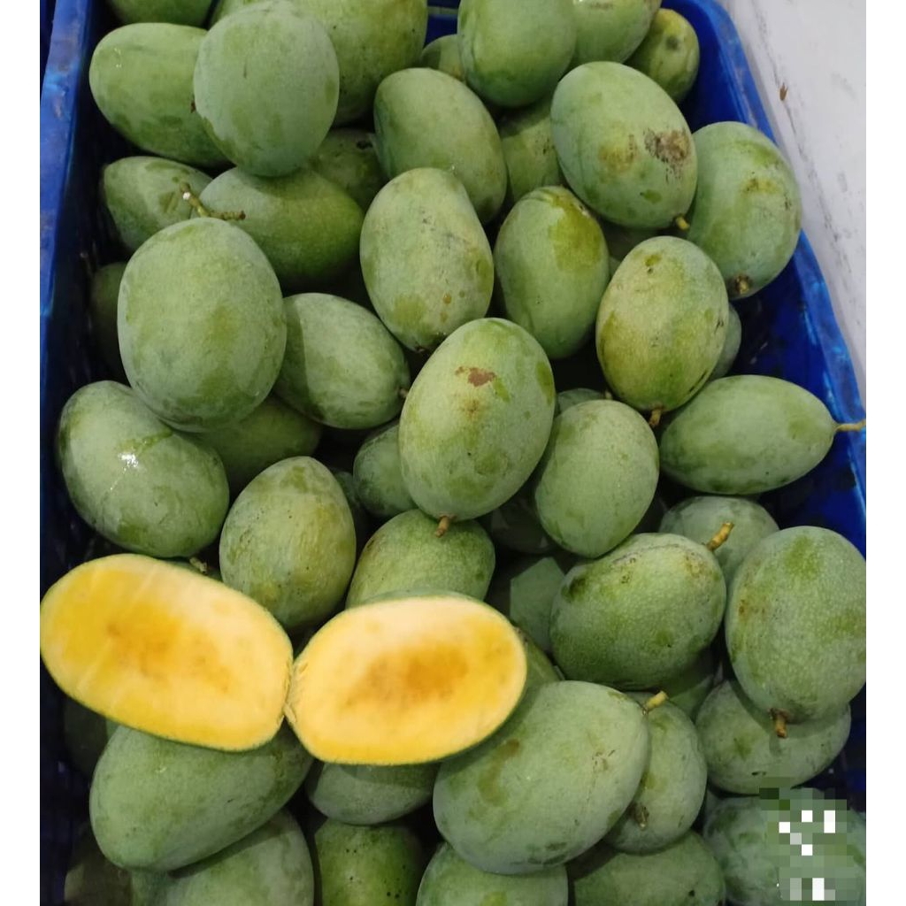 MANGGA MANALAGI 1KG | MANGGA MANALAGI | MANALAGI 1KG