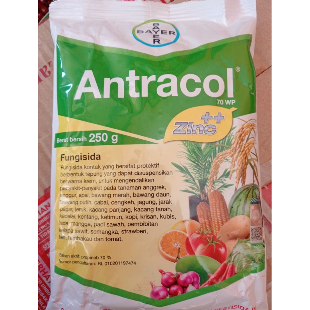 fungisida antracol 250 gram