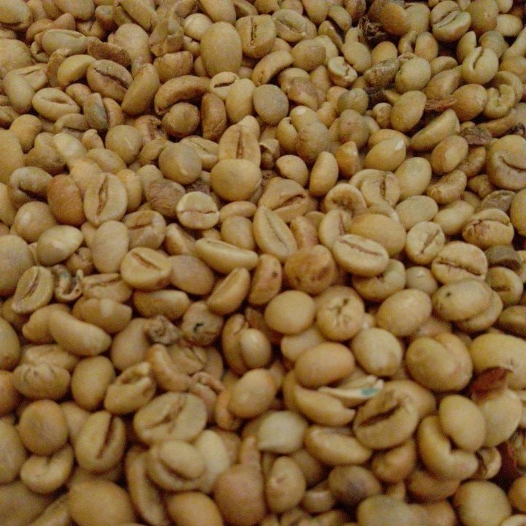 kopi mentah robusta sumbertangkil tirtoyudo