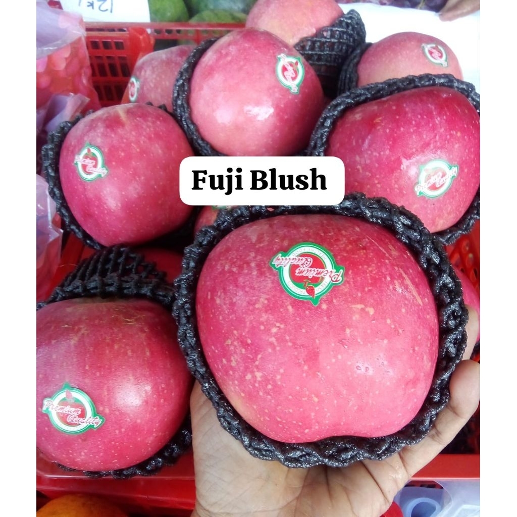 apel Fuji blush