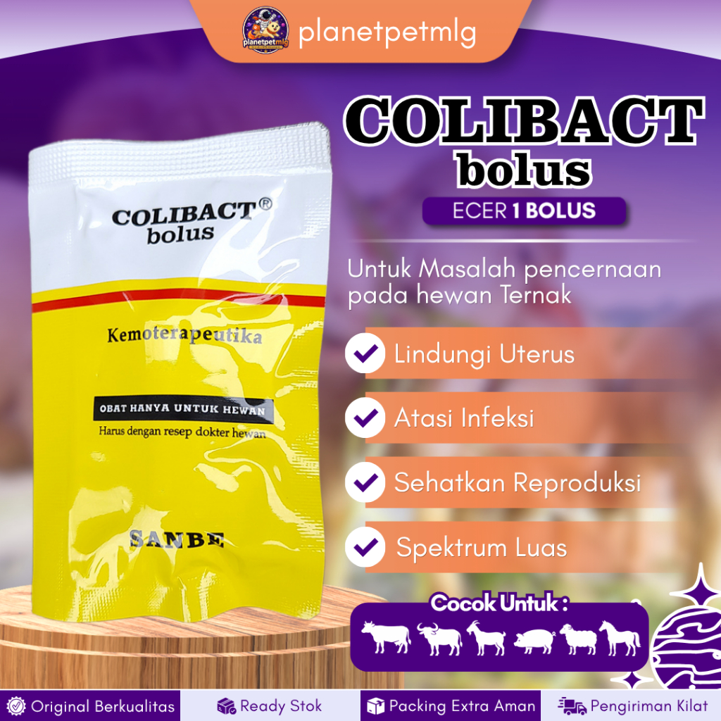 ECER COLIBACT 1 BOLUS - Untuk Diare Hewan Sapi, Kuda, Domba, Babi Dan Lainnya.