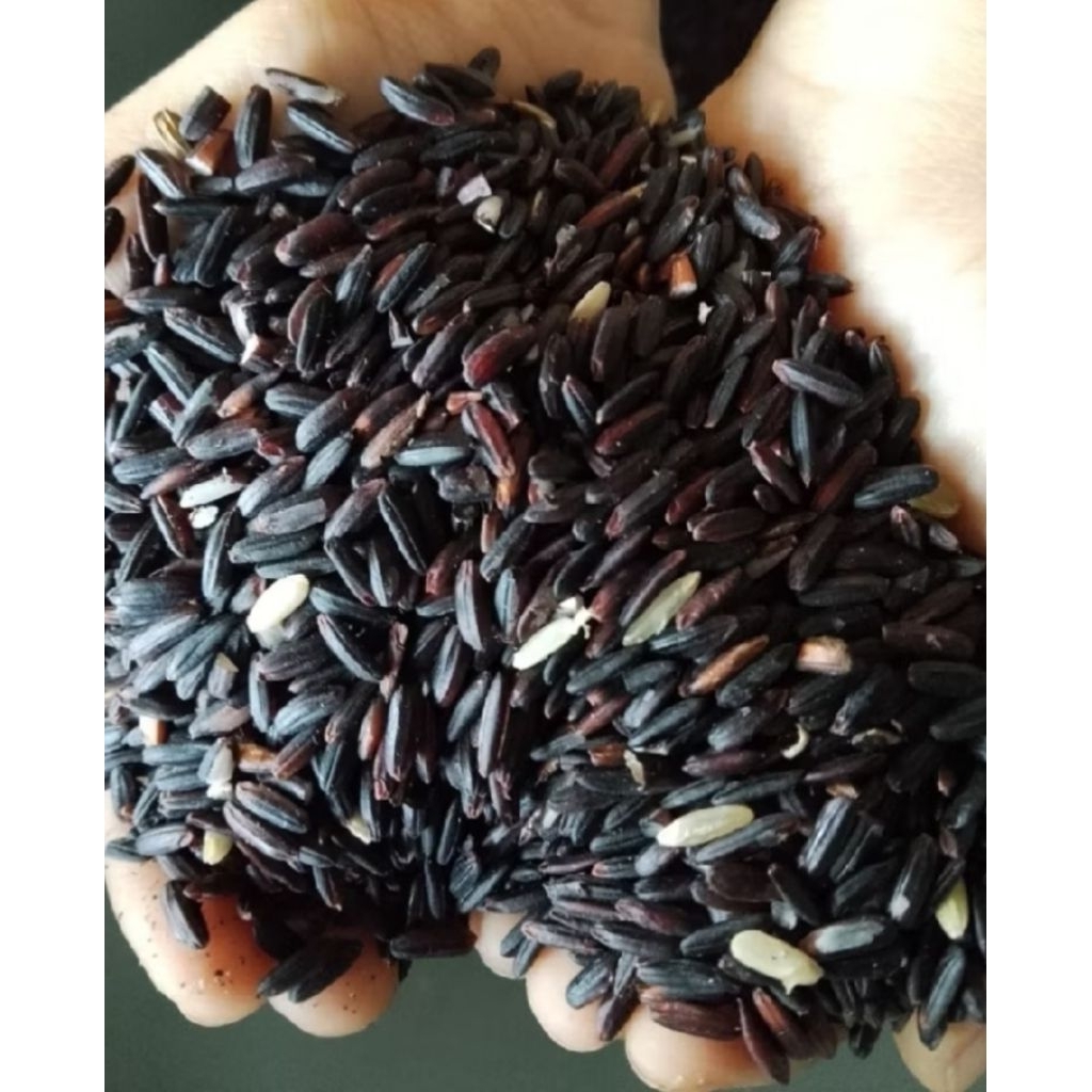 Ketan Hitam super
