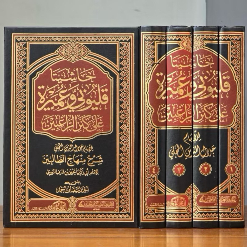 HASYIAH AL QOLYUBI WA UMAIROH | Hasiah Qolyubi | Hasyiyata Qholyubi