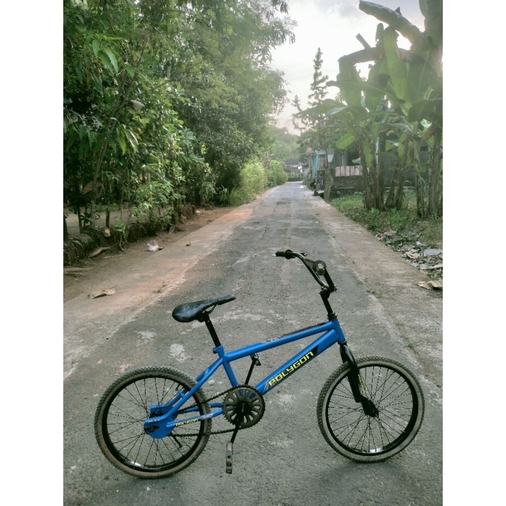 sepeda BMX Polygon 20 inch