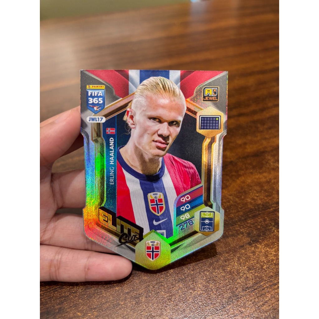 Kartu Panini Erling Haaland Elite FIFA 365 Original - Adrenalyn XL Trading Card Koleksi Striker Manc