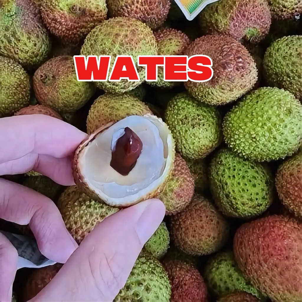 Buah Leci madu 1kg