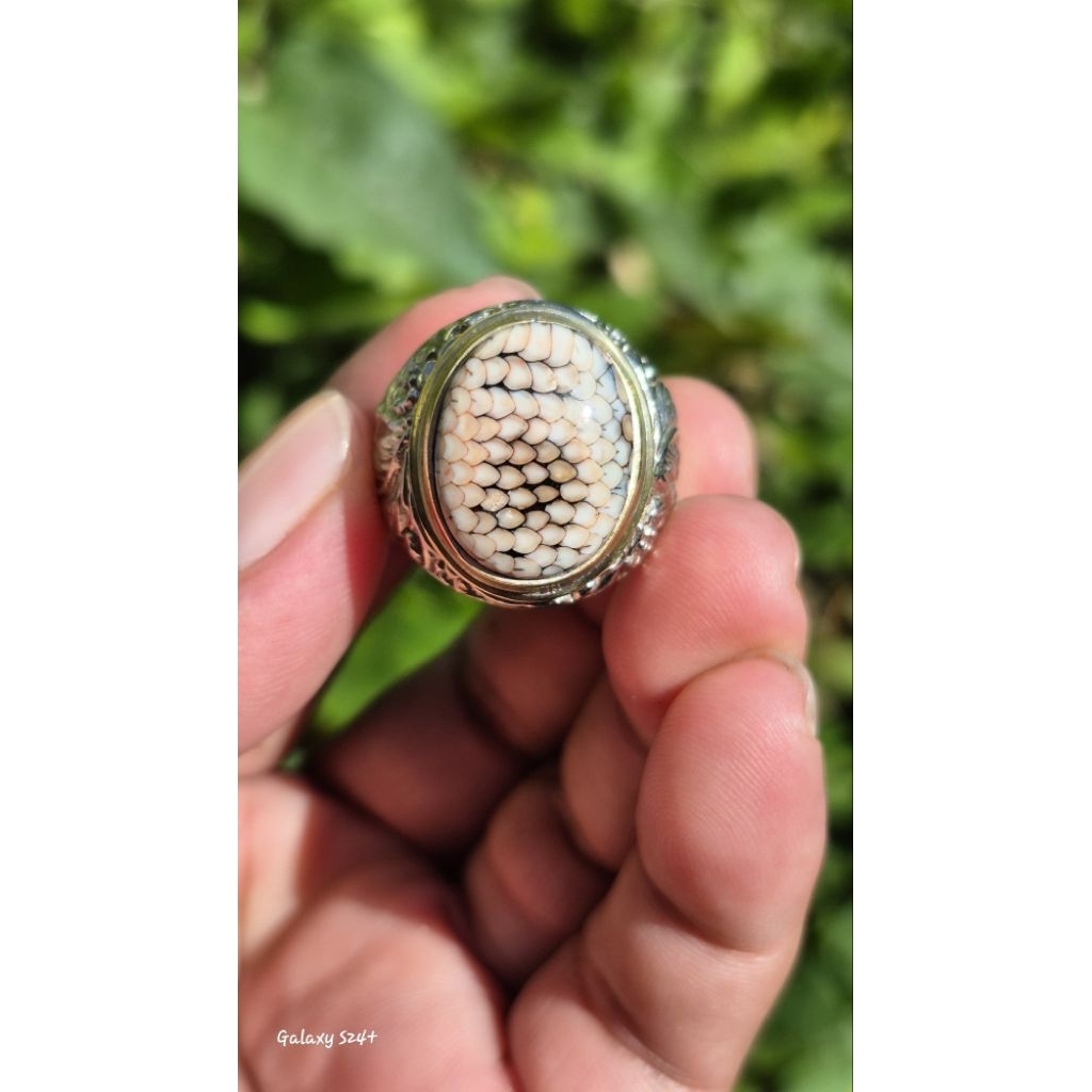 Natural Sisik Ular Jipen (Jipen Madura)