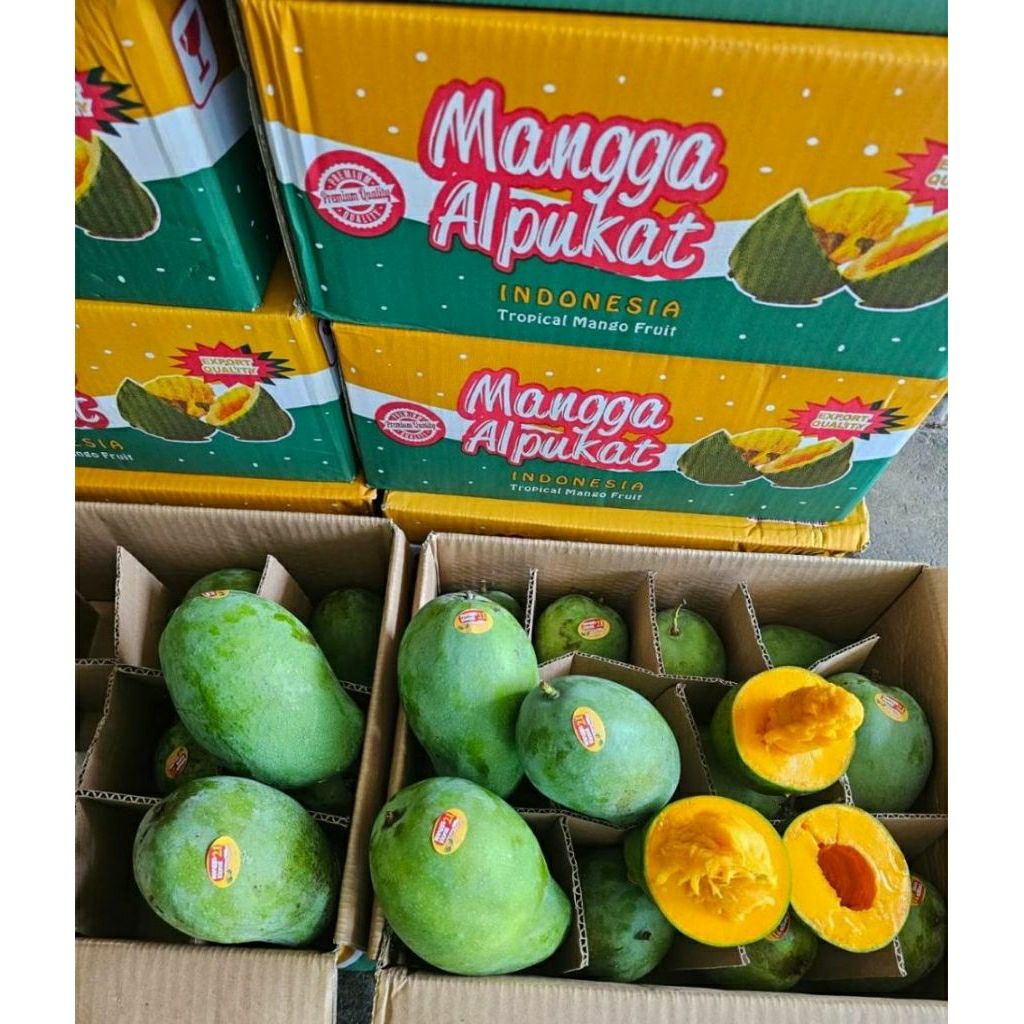 Mangga Alpukat Pasuruan/Mangga Alpukat Klonal mantaap