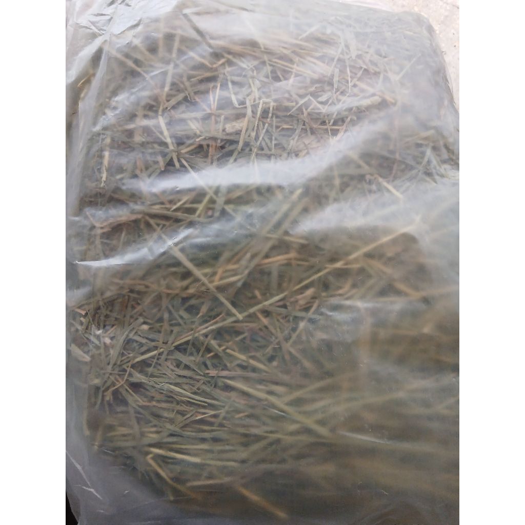rumput hay