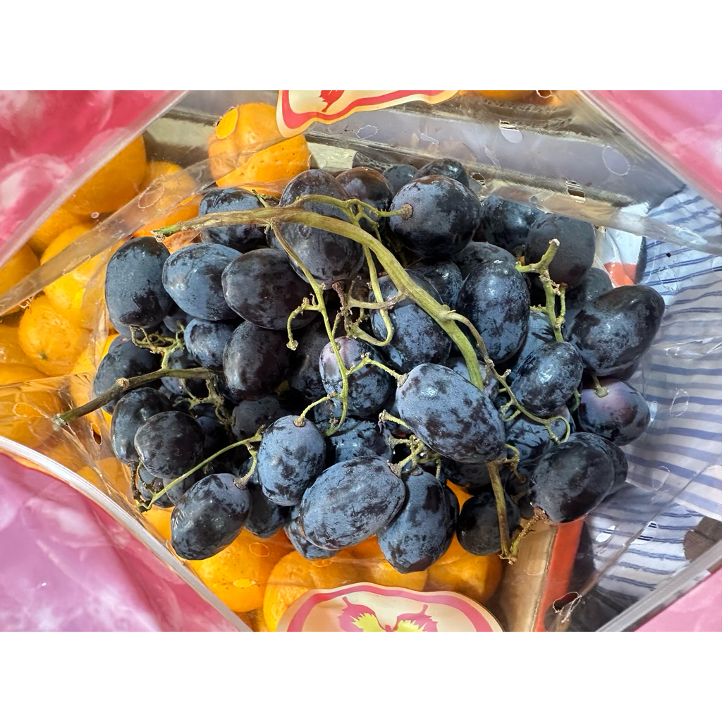 anggur black autumn