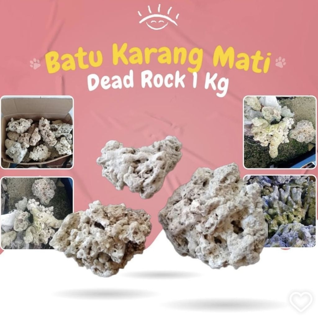 Batu Hias Karang laut Deadrock 1 kg