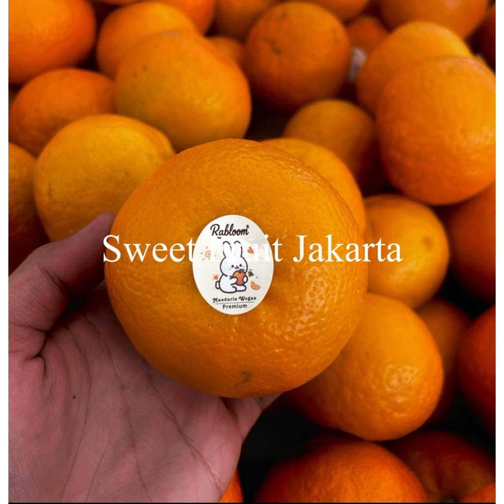 Jeruk wogam Super Mandarin Manis Fresh / Jeruk Wokam Super 1kg