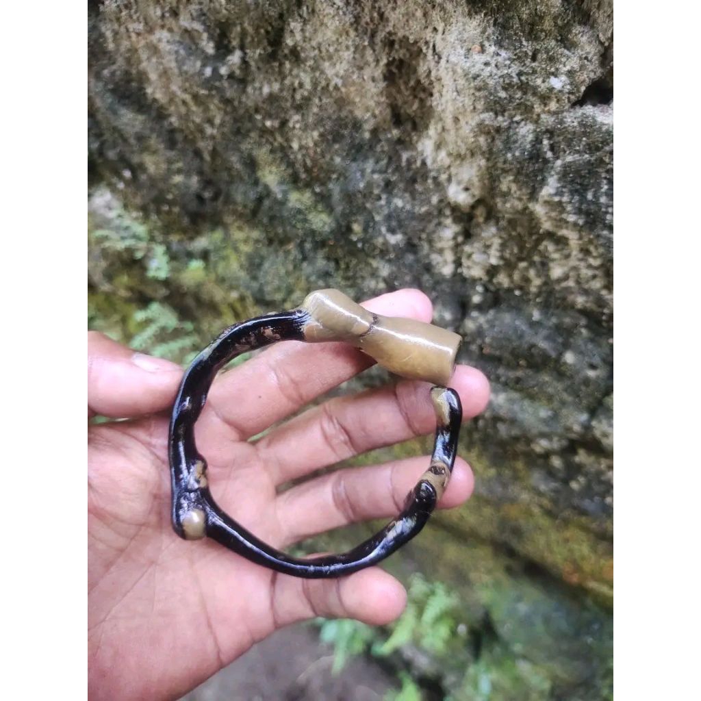 gelang akar bahar bonggol size sedang