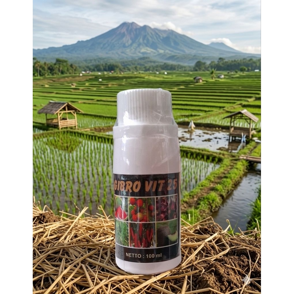 GIBRO VIT 25